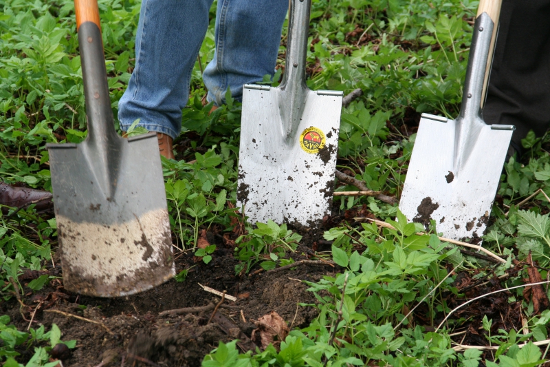 pepiniere-LANTOSQUE-min_work-lawn-flower-tool-green-backyard-1103633-pxhere.com